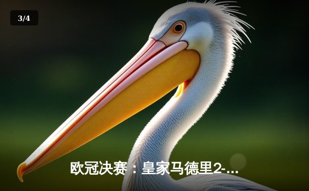 欧冠决赛：皇家马德里2-1力克利物浦，本泽马独中两元创历史 - 3