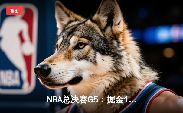 NBA总决赛G5：掘金108-95热火 约基奇三双率队夺赛点